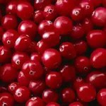 Cranberry-150x150 in Cranberries - natürliche Hilfe bei Harnwegsinfektionen