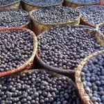 Acai-beeren-150x150 in Acai Flavonoide gegen Infektionskrankheiten