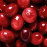 Cranberry-150x150 in 