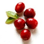 Cranberry-150x150 in 
