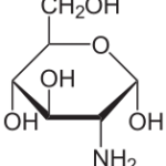 D-Glucosamin-150x150 in 