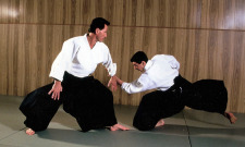 Aikido Training