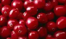 cranberry