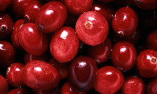 Antioxidantien Cranberry Q10