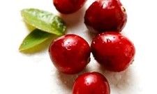 cranberry