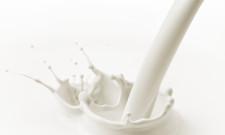Laktoseintoleranz Calciummangel