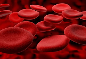 rote Blutkörperchen