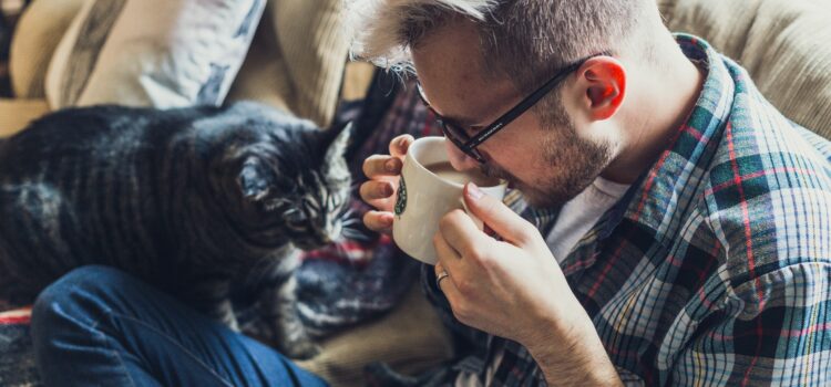 Die Wohnung auf eine Katze vorbereiten