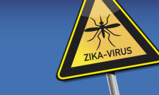 Zika Virus