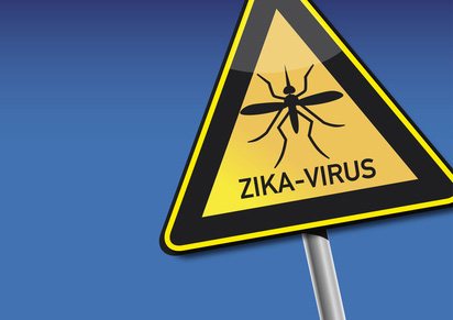 Zika Virus