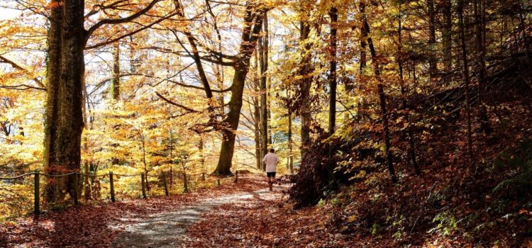 Sport in der kalten Jahreszeit Sport im Herbst