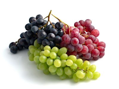 Weintrauben sind nicht nur lecker sondern auch sehr gesund