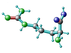 L-Argin-Aminosäure