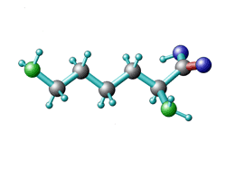 L-Lysin Aminosaeuren